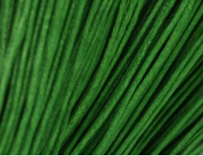 Sznurek Jubilerski Bawełniany Woskowany 1,5mm 4m zielony