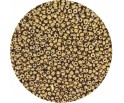 Koraliki seeds NB21